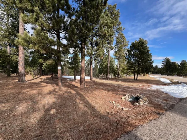 11968 Big Piney Rd, Sturgis, SD 57785