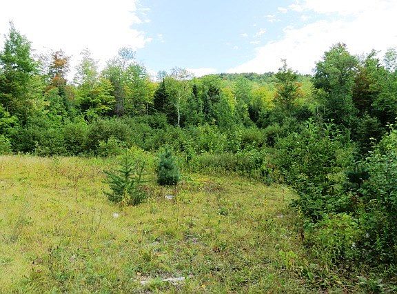 5th image of 305 Lincoln Hill Ln