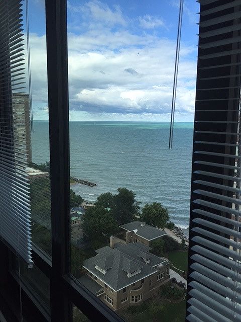 View from the living room