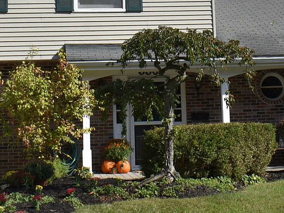 4th image of 656 W Parkway Dr