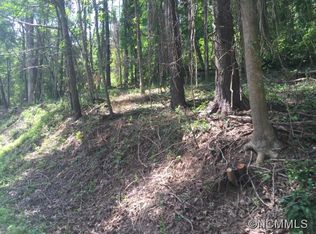 25 Robinhood Rd, Asheville, NC 28804