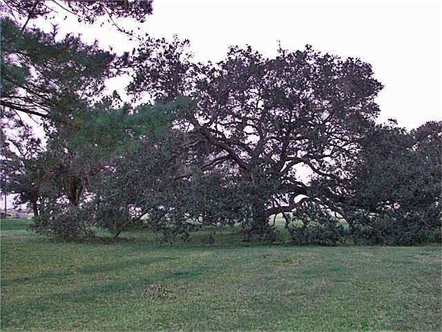 2nd image of 4626 County Road 197