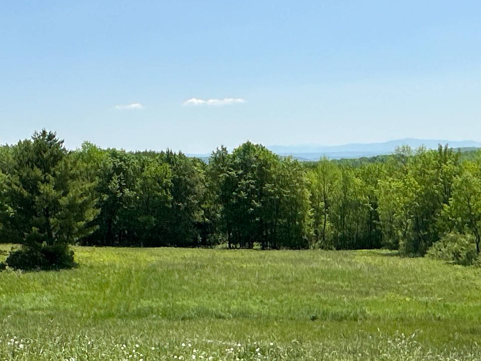 2336 State Route 10, Summit, NY 12175 MLS 11181895 Zillow