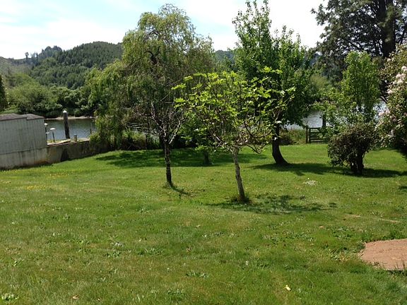 the orchard