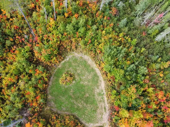 76 Acres Hwy #45, Three Lakes, WI 54562