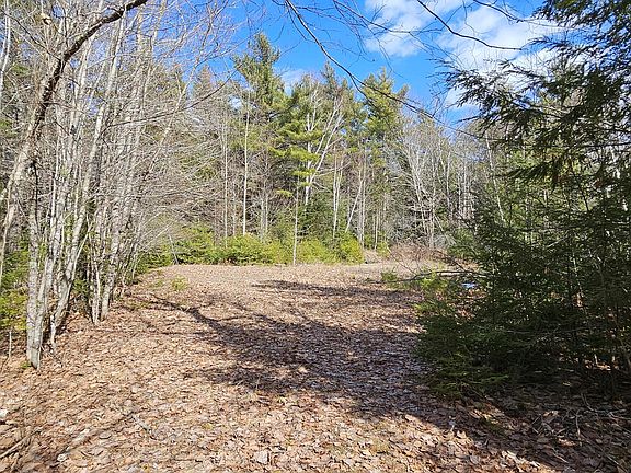 4th image of 31, 31-1 Weymouth Road