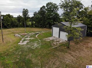 2003 Tickridge Rd, Falls Of Rough, KY 40119