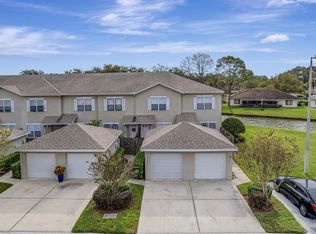 18503 Pebble Lake Ct, Tampa, FL 33647