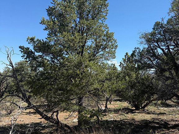 2nd image of 32506 W Shadow Mountain Cir