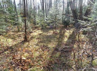 LOT 9 E Hundred Echo Hill Ln NE LOT 9, Remer, MN 56672