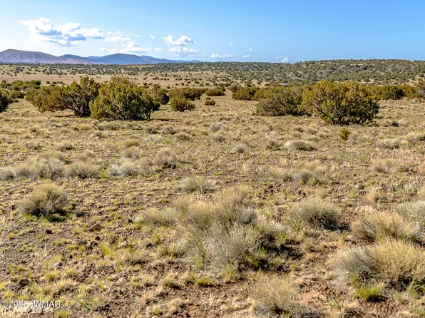 County Road 5106 Lot 2, Concho, AZ 85924