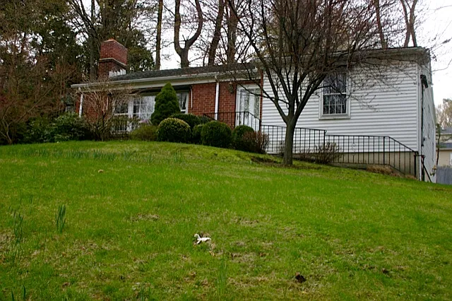450 Bedford Rd