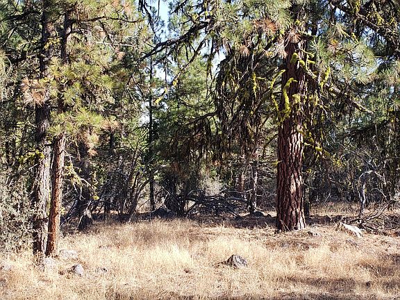3rd image of 66 & 27 Vireo & Blackbird Dr