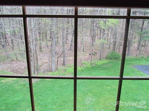 Woods out the Master BR