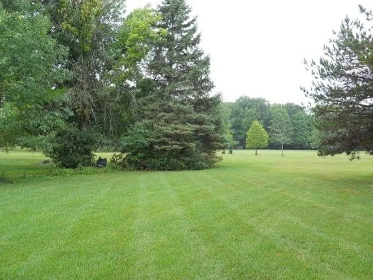 1339 Prosper Dr — Photo 3