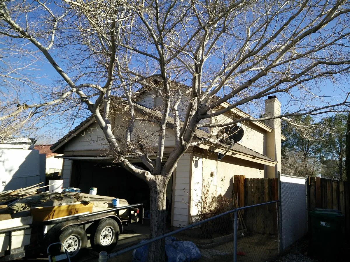 4 bed, 1637 sqft, $3,250 — Photo 4