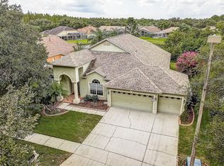 19306 Wind Dancer St, Lutz, FL 33558