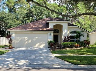 10440 Springrose Dr, Tampa, FL 33626