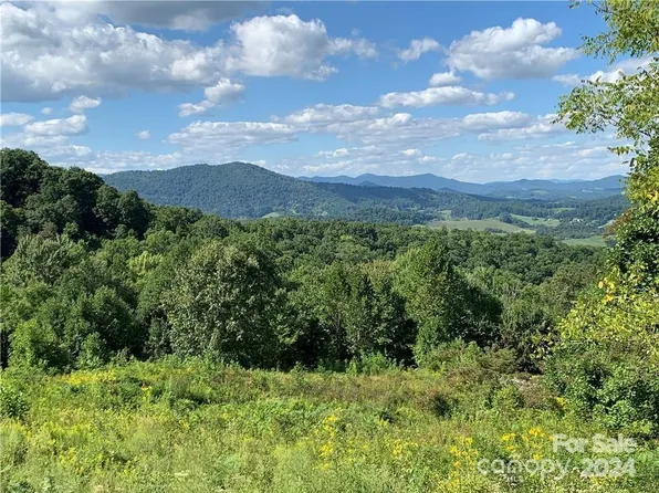 25 Farm Cove Ln, Leicester, NC 28748
