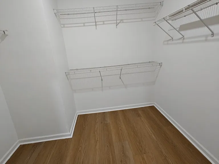 Walk-in Closet (Lower Level)
