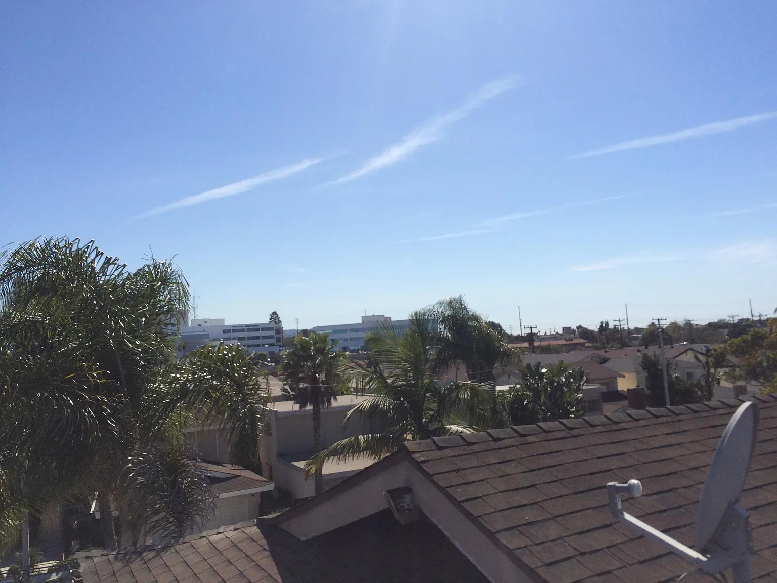 2 bed, 900 sqft, $3,395 — Photo 4
