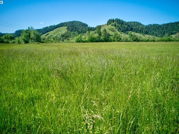 1536 Scotts Valley Rd, Yoncalla, OR 97499