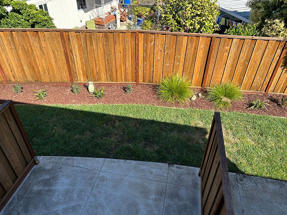 Sunny outdoor space in backyard