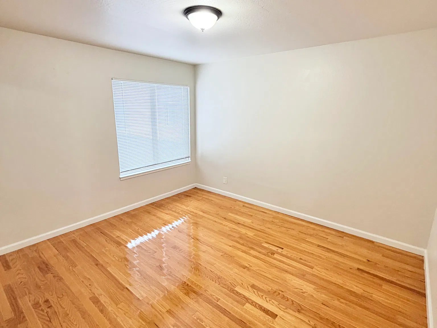 2 bed, 1100 sqft, $5,600 — Photo 4