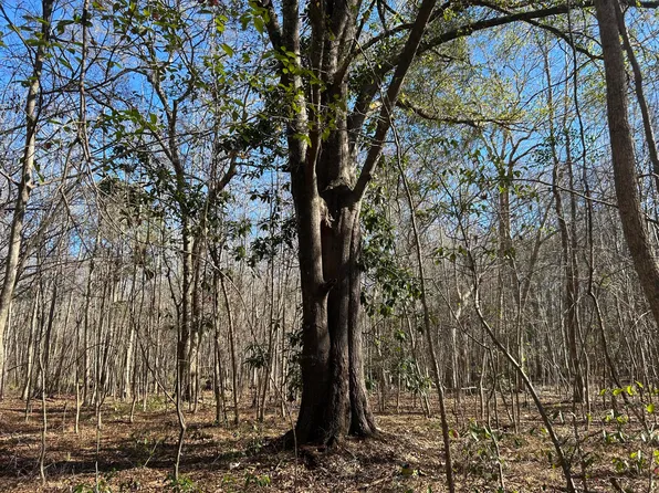 0 Highway 261, Kingstree, SC 29556