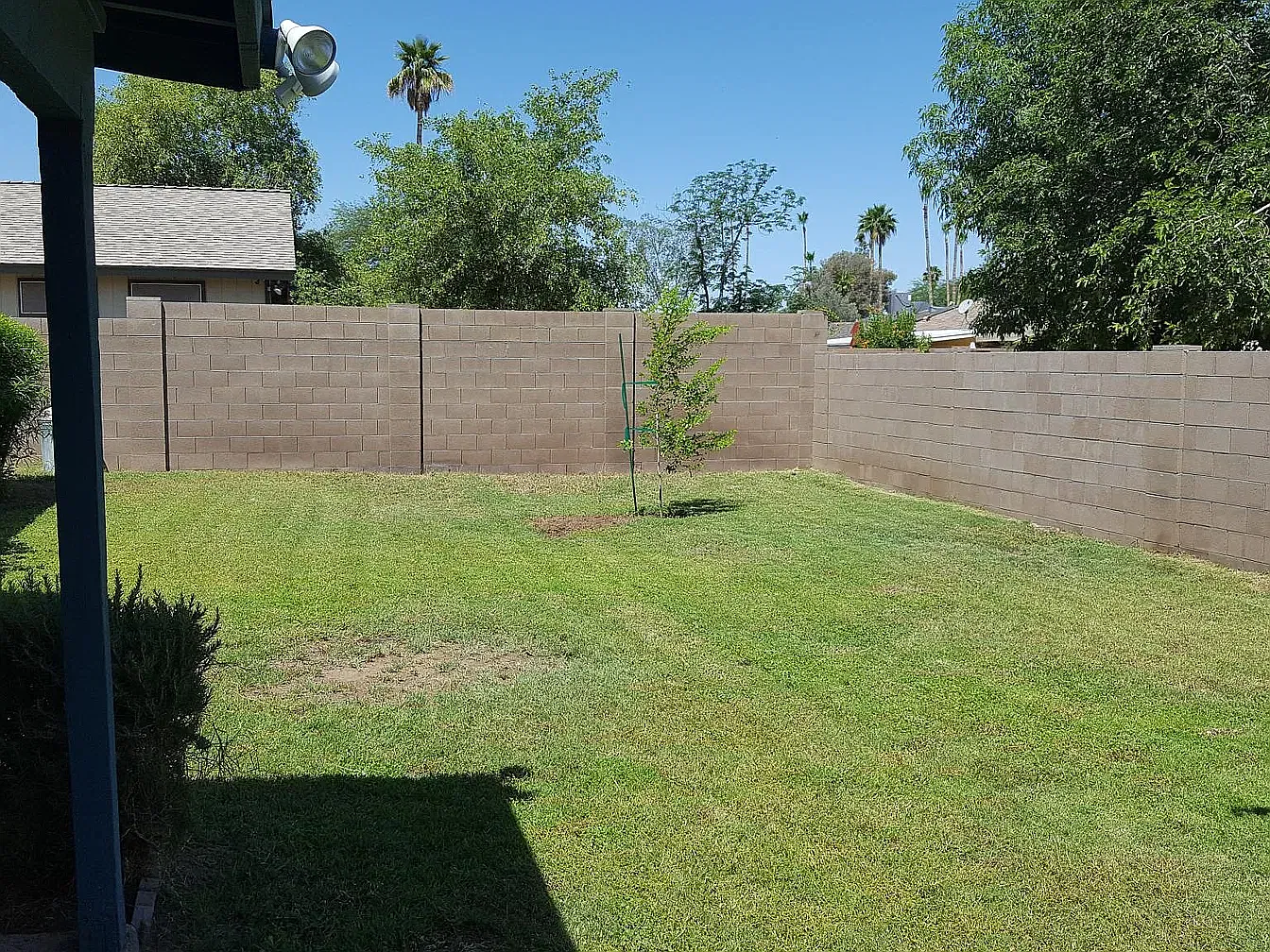 3 bed, 1276 sqft, $1,000 — Photo 2