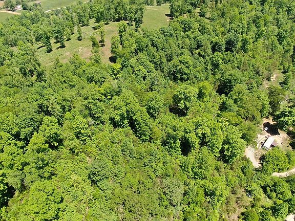 3rd image of 208 Molly Hollow Rd