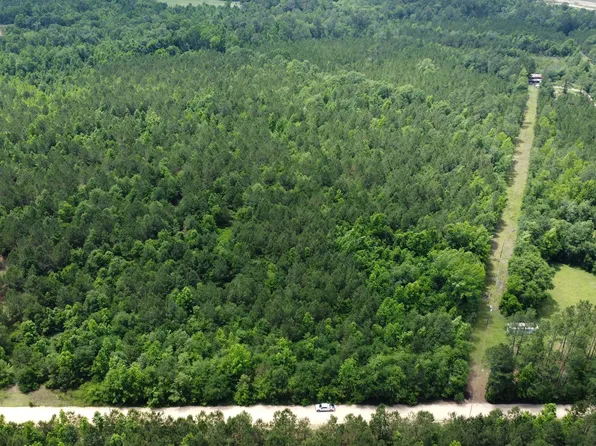 0 Anderson Parrish Rd, Portal, GA 30450