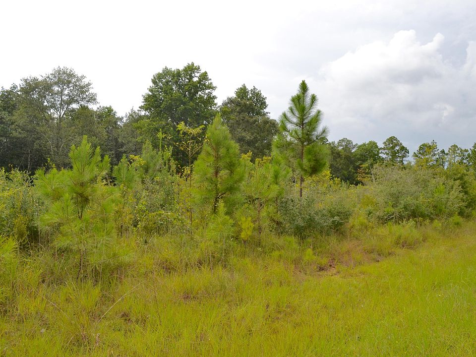 2nd image of 20354 W Wortham Rd