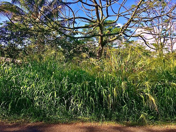 3rd image of 9th Avenue Kalaunu Lot 914