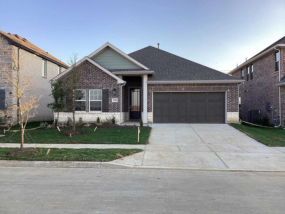 Exterior Design Construction Progress