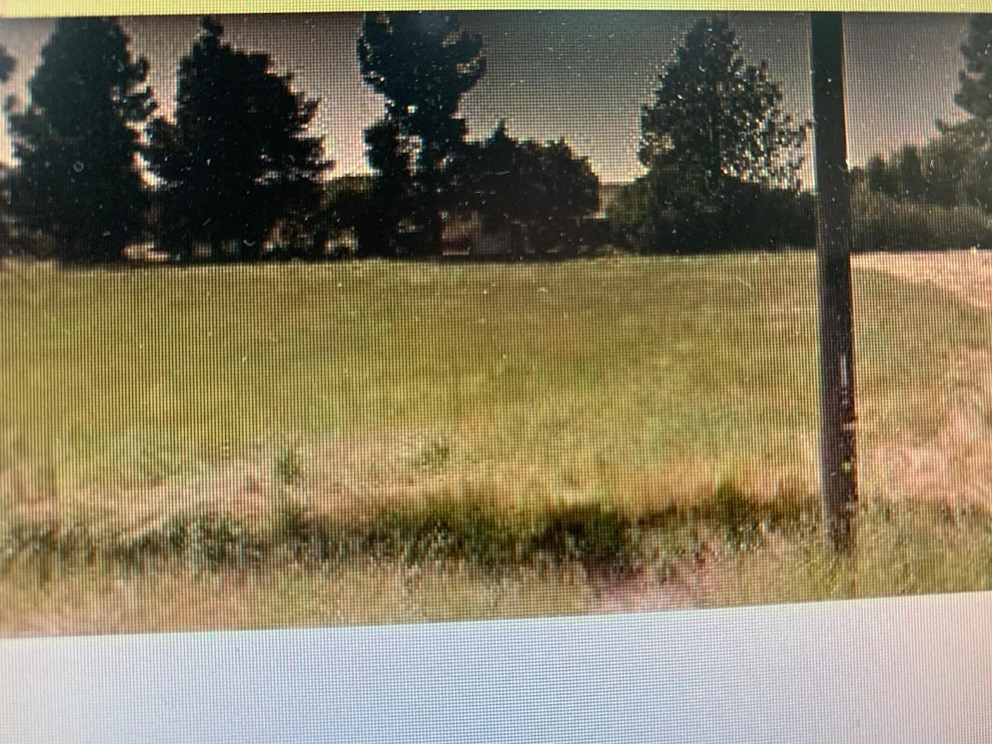 Pomegranate Ave photo 1