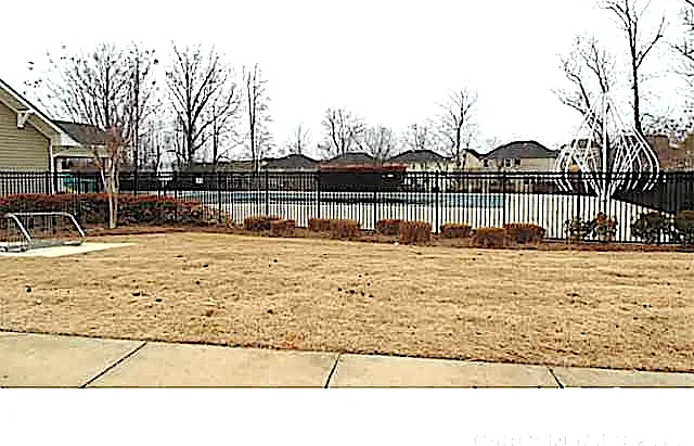 121 Walnut Cove Dr #D — Photo 32