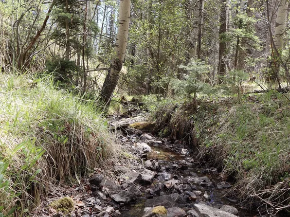 Spanish Peaks Ranch Ests Tract 27, Aguilar, CO 81020