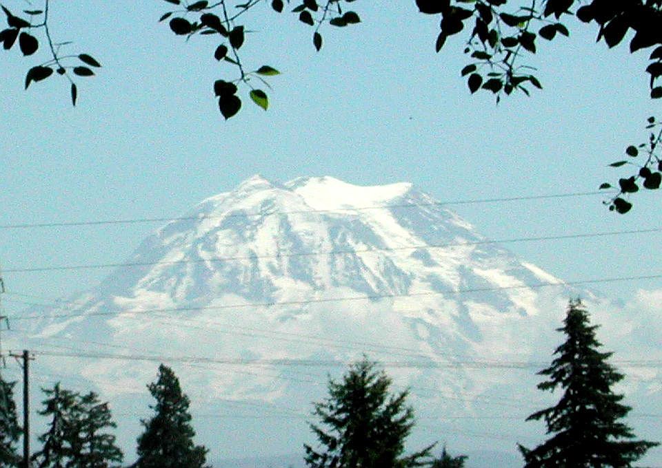 The view from back deck.