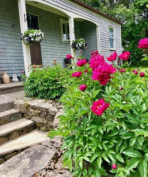 47 Sherman Ave — Photo 8