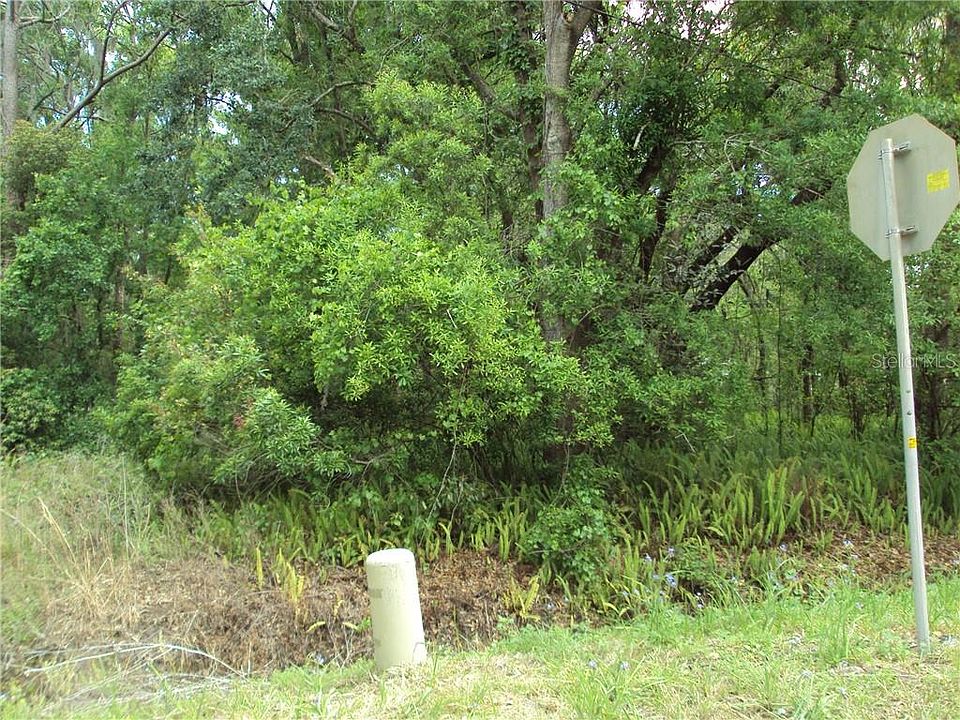2nd image of Old Tampa Hwy