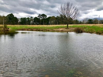 4477 Forest Service Rd #4120, Willow Springs, MO, 65793