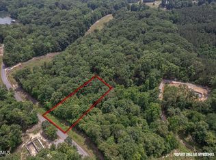 307 Chestnut Dr, Spring City, TN 37381