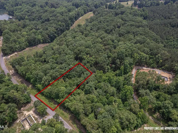 307 Chestnut Dr, Spring City, TN 37381
