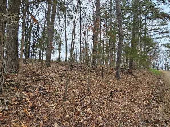 000 County Road 3640, Mountain View, MO 65548