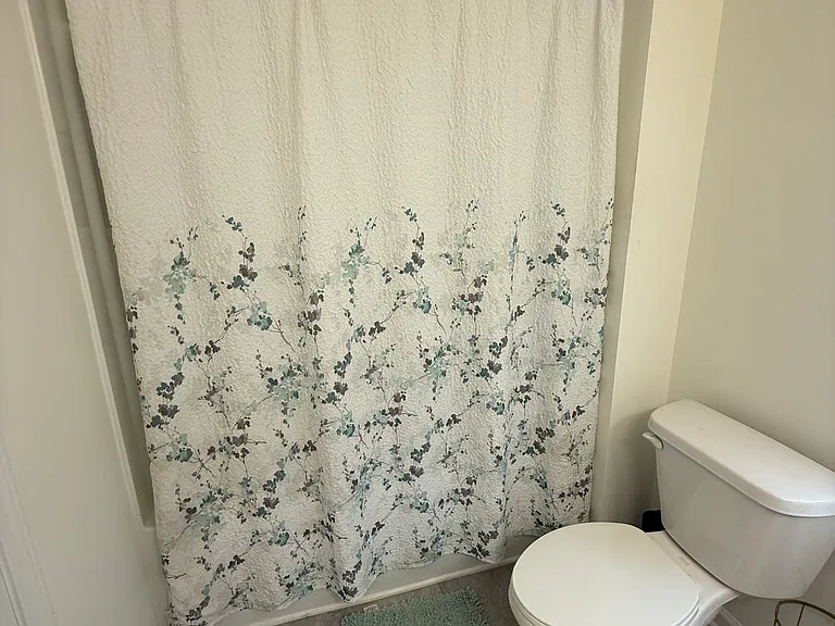 223 Harpers Run Ln — Photo 22