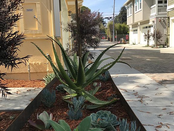4th image of 716 Seabright Ave #113