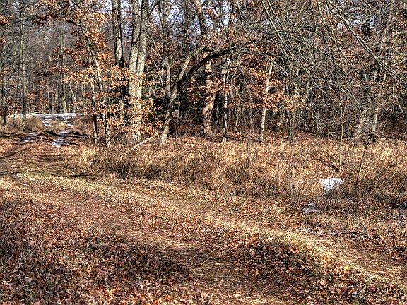 3rd image of 1477/- Acres Hwy #21