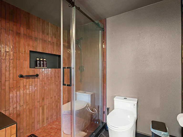 Large Walk in Shower, Bidet Toilet
