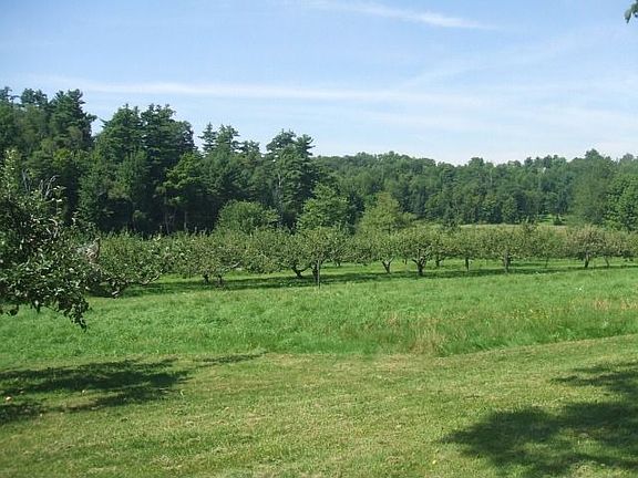 175 tree apple orchard